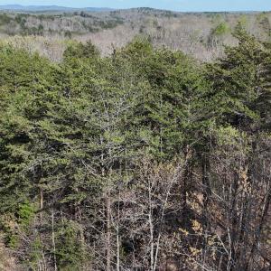 DJI_20260403165719_0001_D