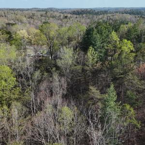DJI_20260403165738_0003_D
