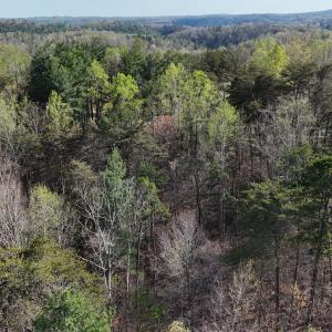 DJI_20260403165747_0004_D