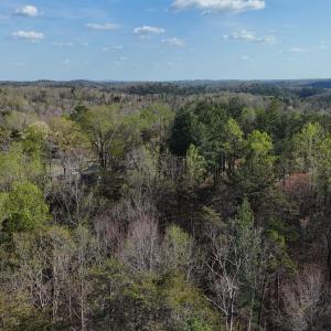 DJI_20260403165817_0007_D