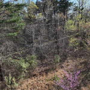 DJI_20260403165926_0009_D