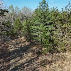 DJI_20260403165951_0011_D