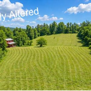 summer_pasture_2(1)