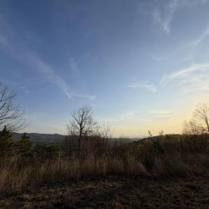 0 Whistler DR - Primary