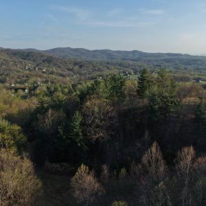 DJI_20260404082343_0236_D