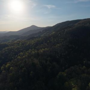 DJI_20260404082454_0237_D