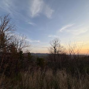 IMG_5677