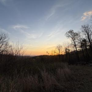 IMG_5678