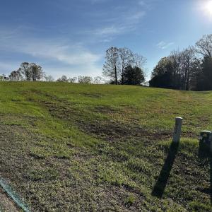 View from further down Shore Side