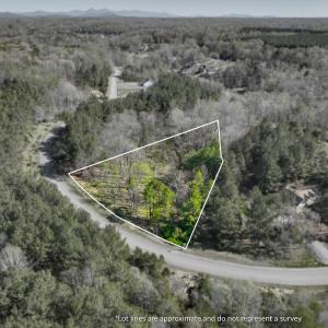 lakewatch-circle-moneta-2