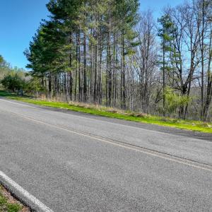 lakewatch-circle-moneta-7