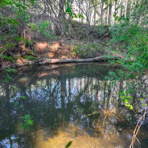 lakewatch-circle-moneta-11