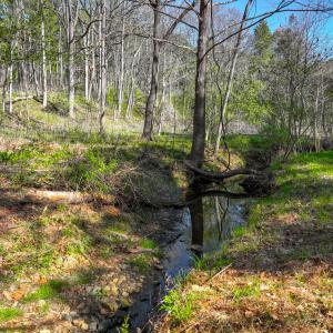 lakewatch-circle-moneta-12