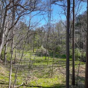 lakewatch-circle-moneta-13