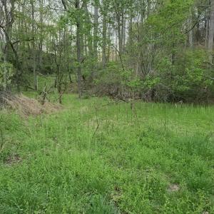 Perfect building spot