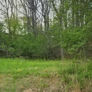 Beautiful homes in rear of property