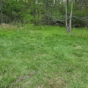 Flat lot for building