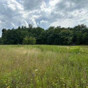 TBD Bob White Blvd 3