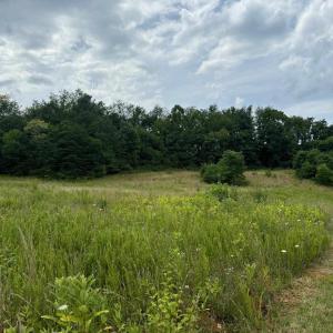 TBD Bob White Blvd 2