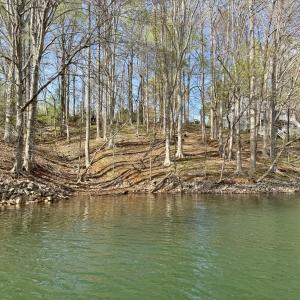 View from water