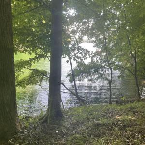 IMG_6917