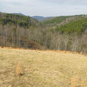 DJI_20260325143303_0183_D
