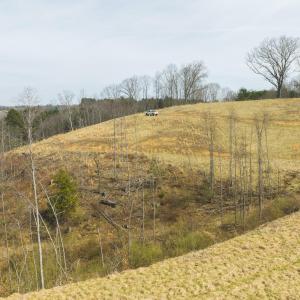 DJI_20260325143709_0199_D