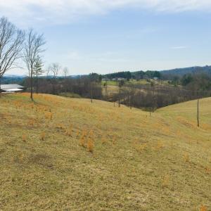 DJI_20260325145909_0224_D