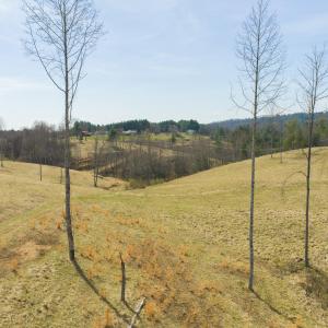 DJI_20260325143331_0184_D