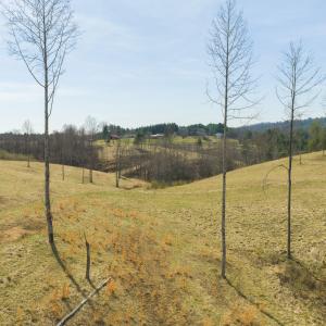DJI_20260325143342_0185_D