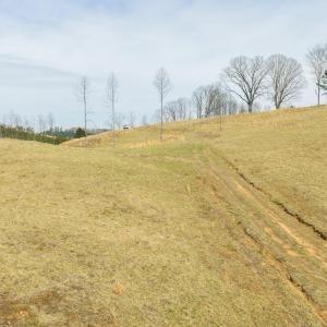 DJI_20260325143627_0196_D