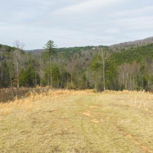DJI_20260325143703_0198_D