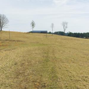 DJI_20260325143714_0200_D