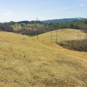 DJI_20260325145803_0219_D