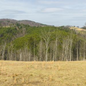 DJI_20260325145857_0222_D