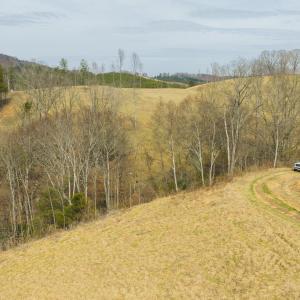 DJI_20260325150854_0239_D