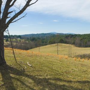 DJI_20260325145847_0221_D
