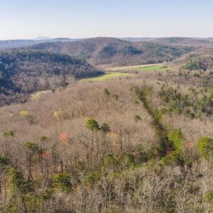 DJI_20260325102428_0106_D