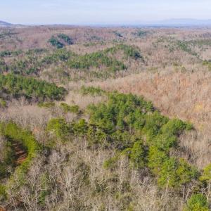 DJI_20260325102436_0107_D