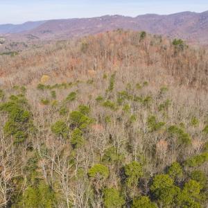DJI_20260325102631_0115_D