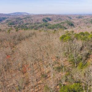 DJI_20260325102644_0116_D