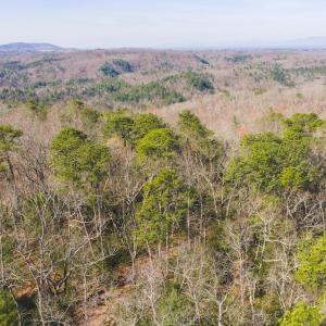 DJI_20260325102655_0117_D