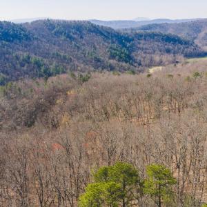 DJI_20260325102741_0119_D