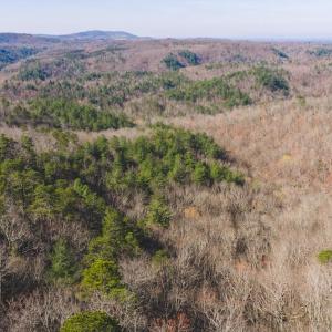 DJI_20260325102840_0122_D