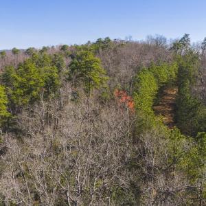 DJI_20260325102927_0124_D