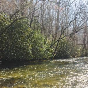 DJI_20260325104858_0139_D