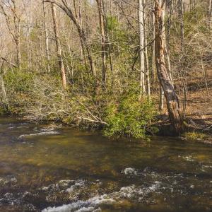 DJI_20260325105306_0153_D