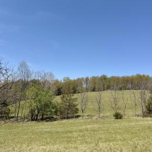 IMG_8013