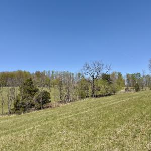 IMG_8024