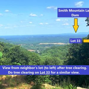 Potential view